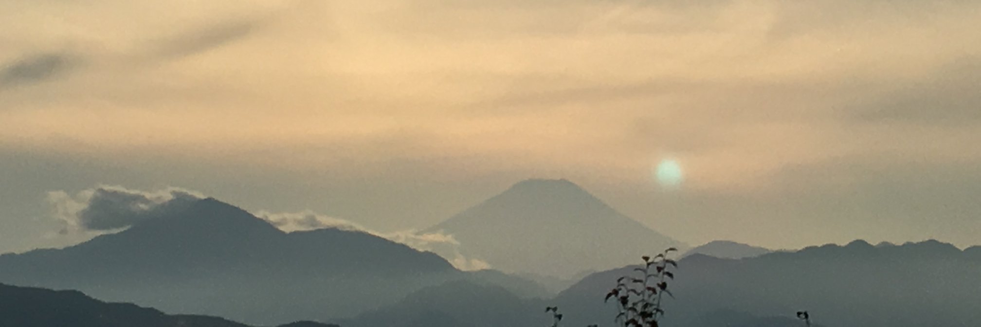 Kaelyn Lowmaster banner