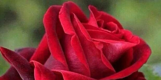 reemabd58's profile banner image