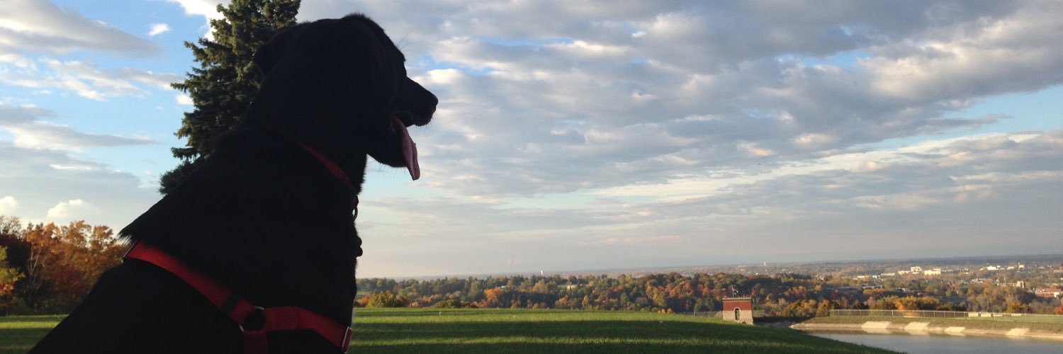DavidRiccardi's profile banner image