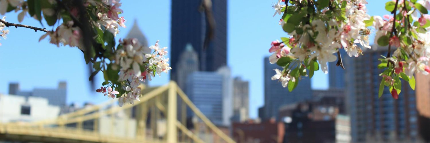 urapgh's profile banner image