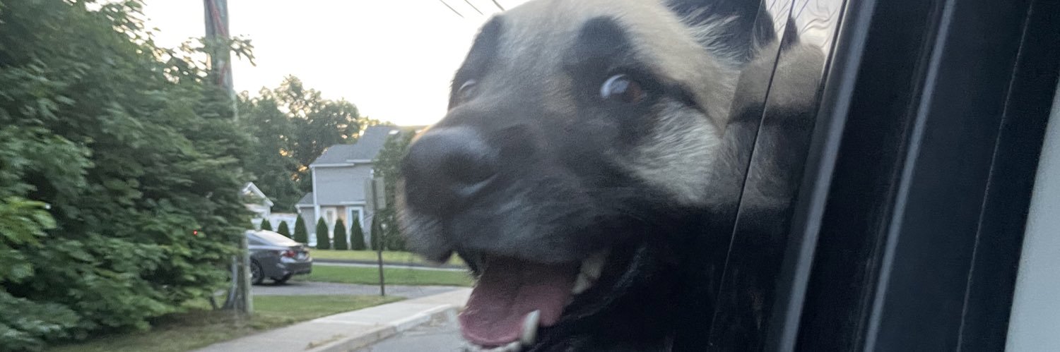 TeskeAlie's profile banner image