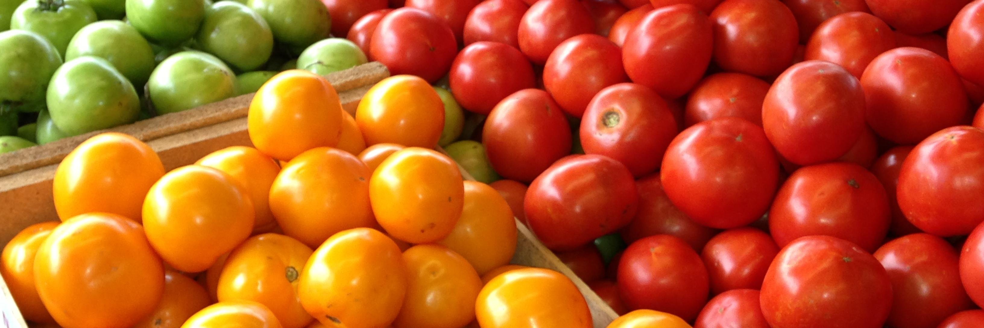 Prevention Research Center at UMass Chan banner