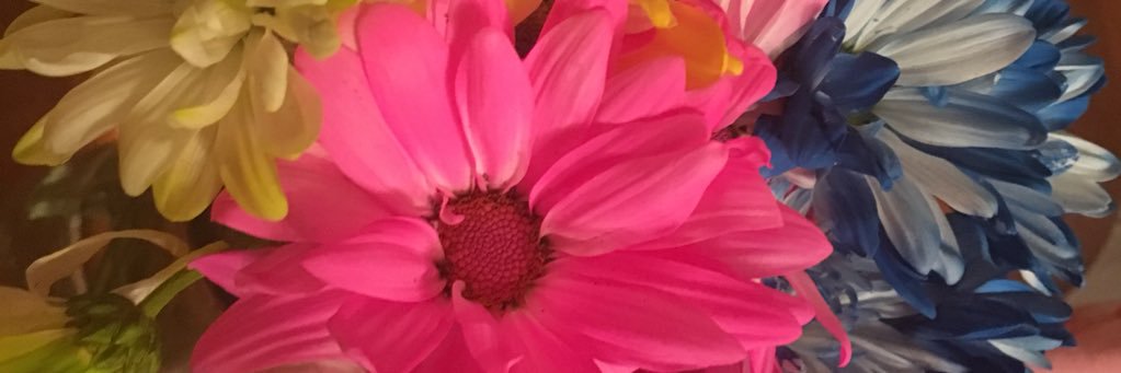 Tara Wittrock banner