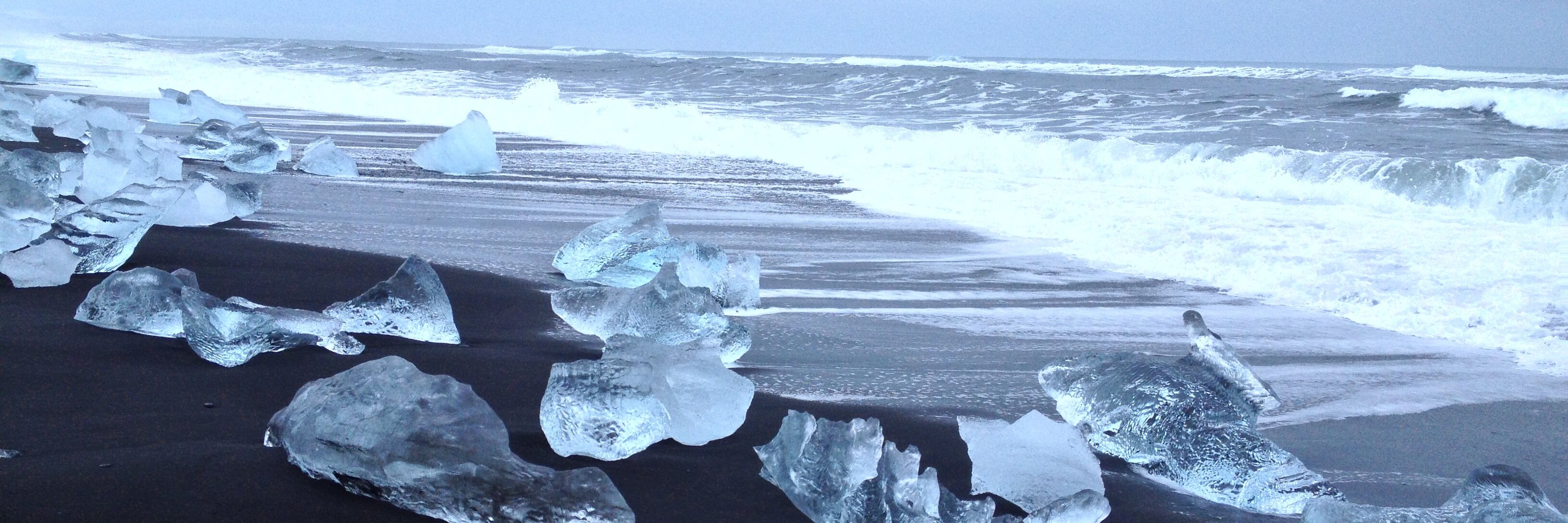 Tom Gallagher banner