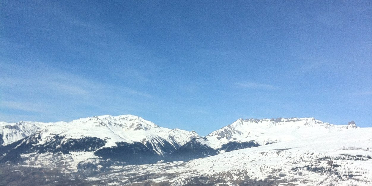 Mark Whitehead banner