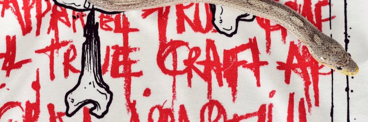 TrueCraft_TCA's profile banner image