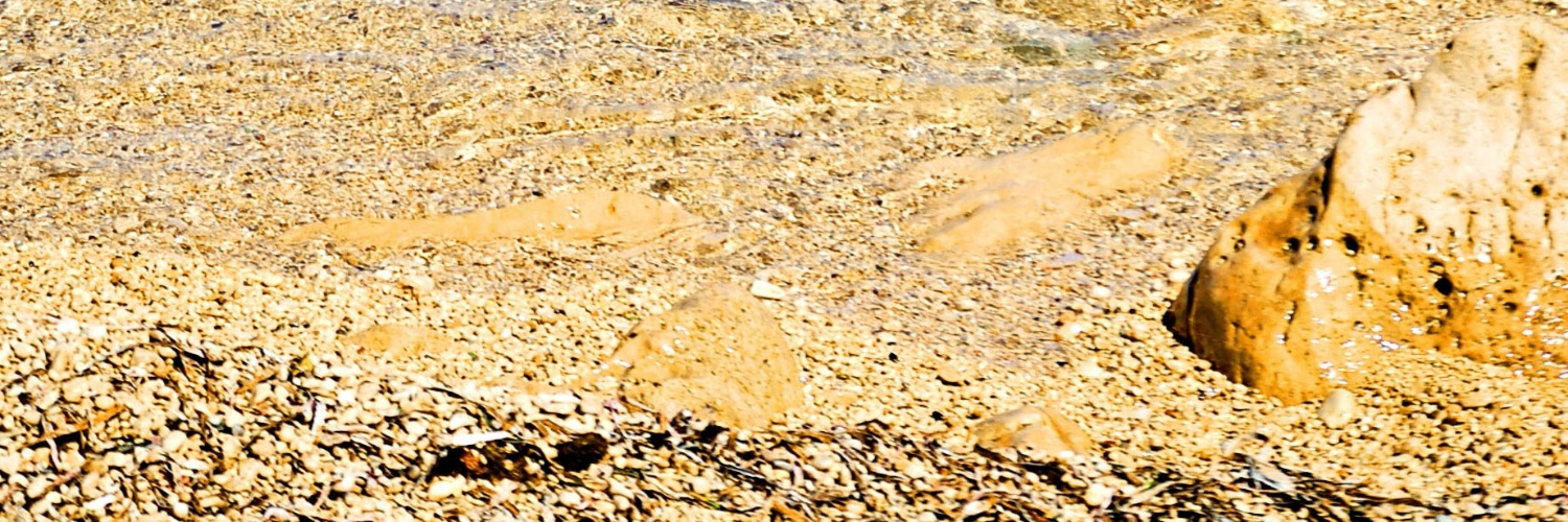 ChatGPT Ideas banner