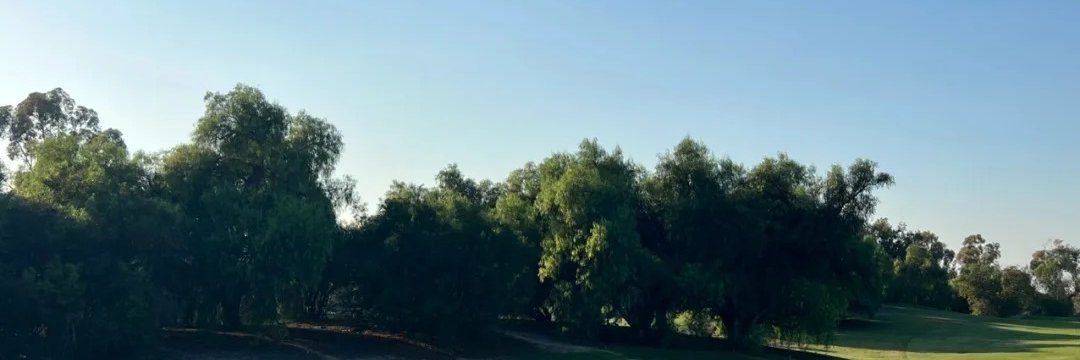Victoriaa453's profile banner image