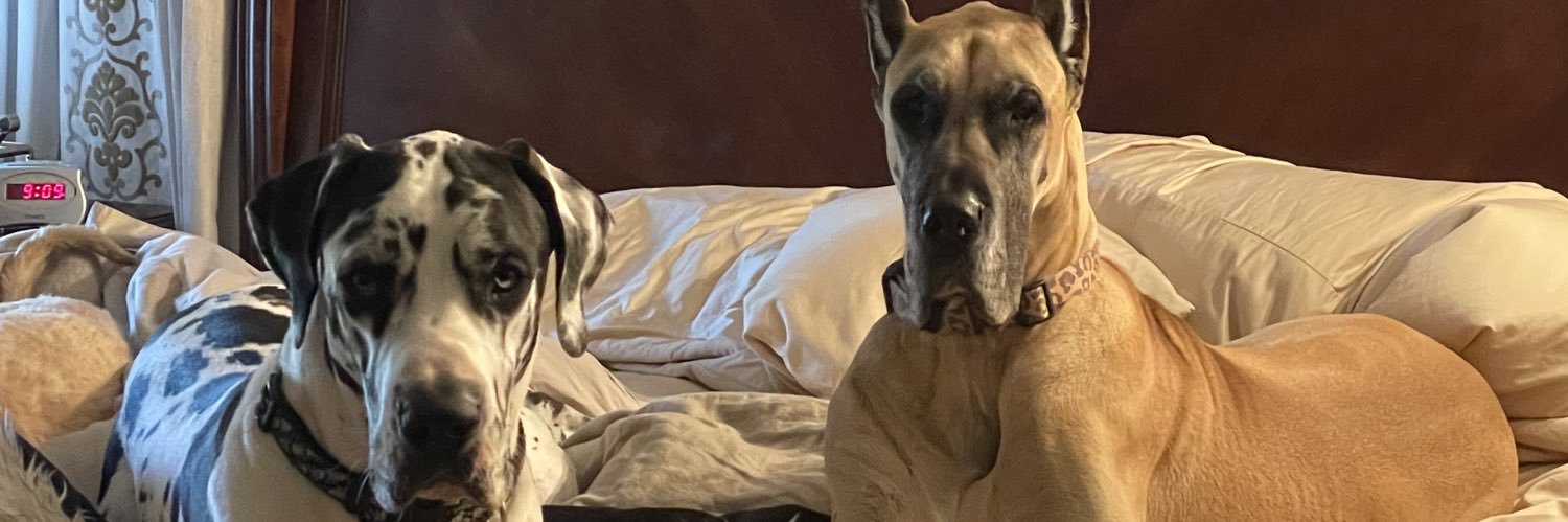 BioPharmaWrestling banner