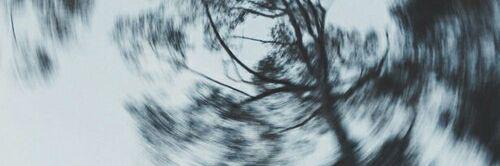 strayyheart's profile banner image
