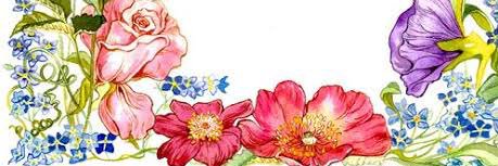 Anya Bose banner
