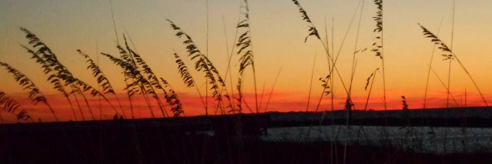 MrsLacy4thGrade's profile banner image