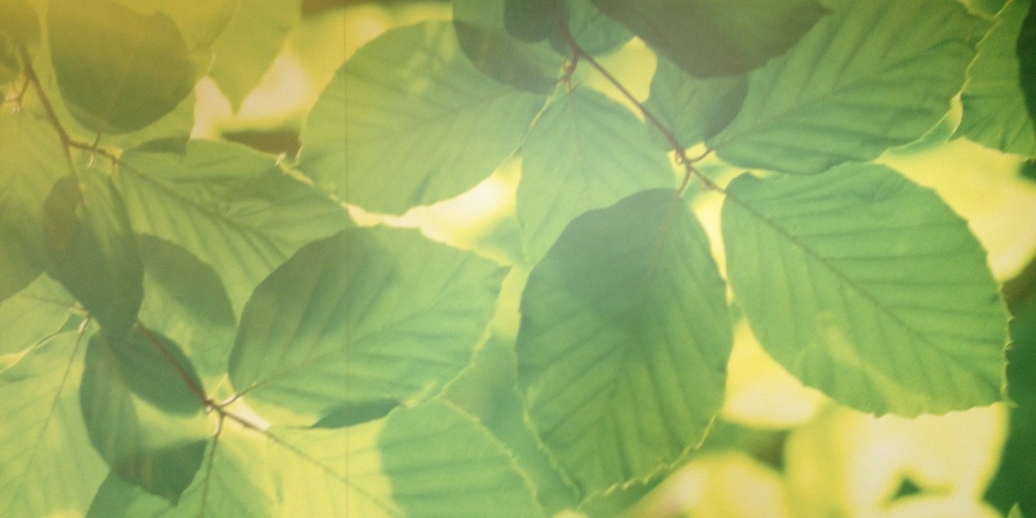 DesmondDirector's profile banner image