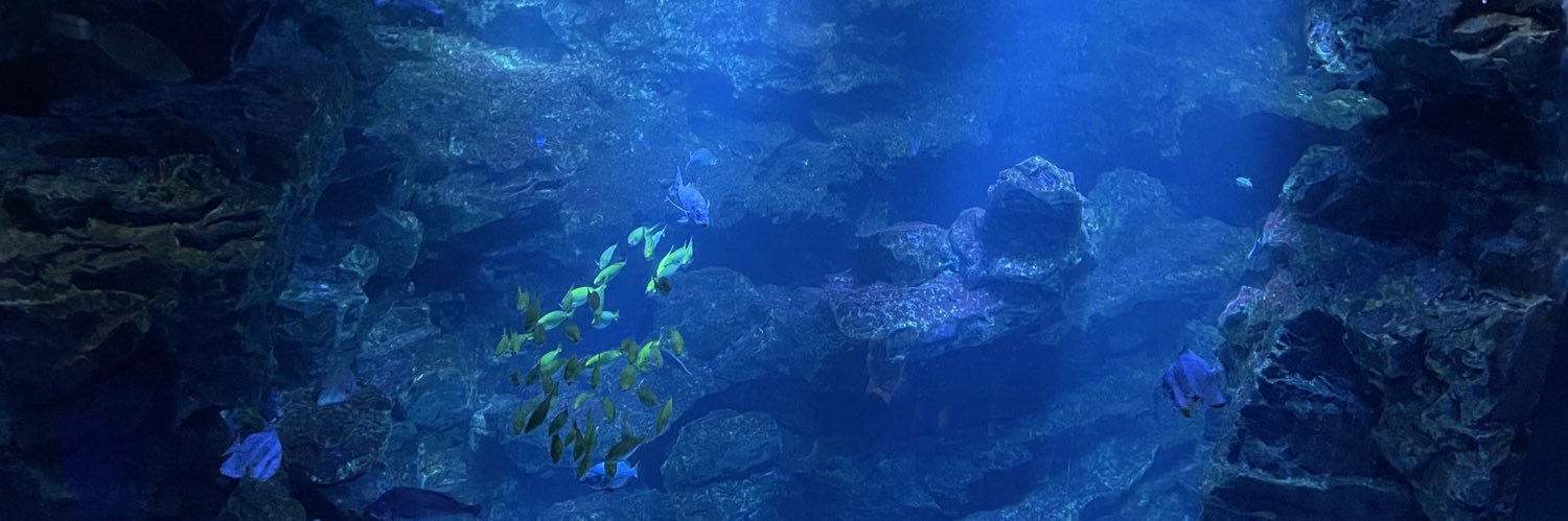 apurapus's profile banner image