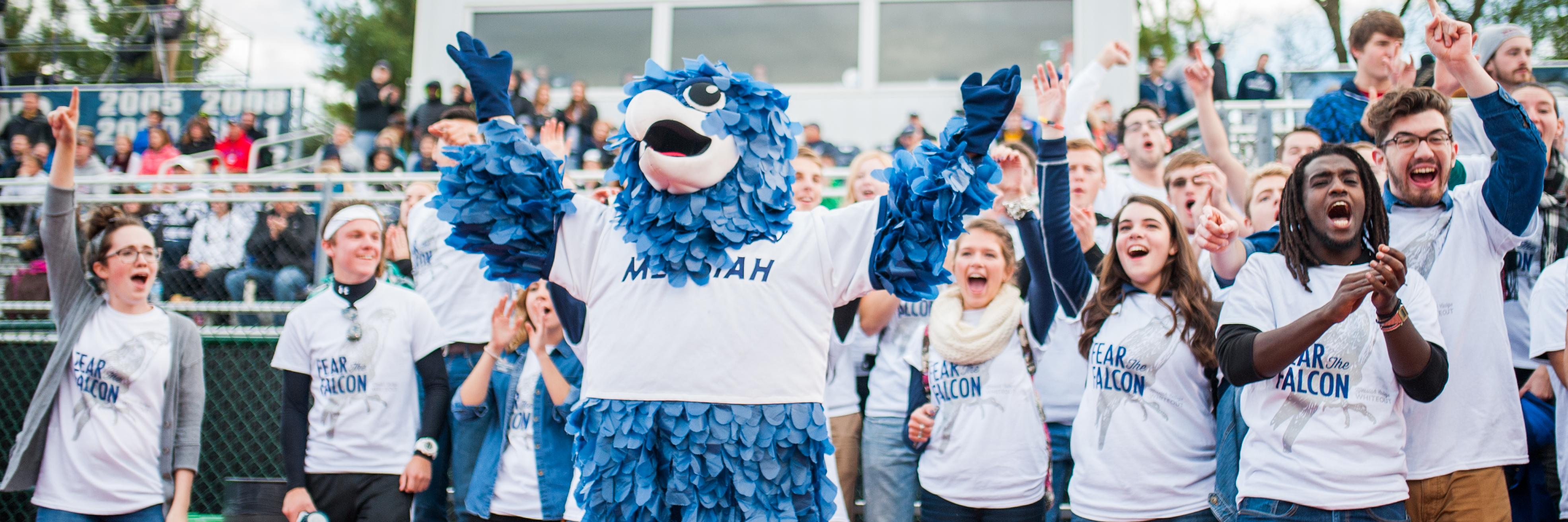 EyasFalcons's profile banner image