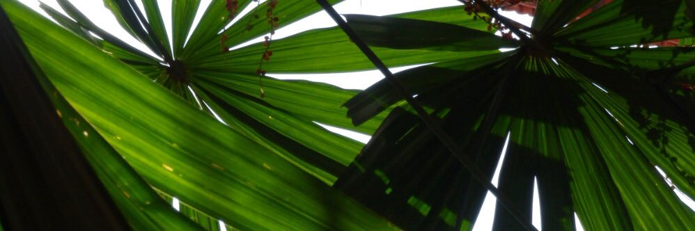 _PaauDiaz's profile banner image