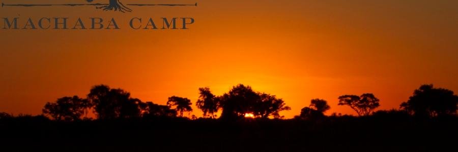 MachabaCamp's profile banner image