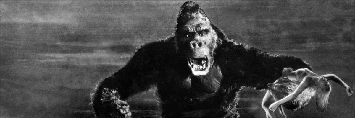 Chris Kaltenbach banner