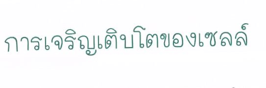 Pong_Kittanut's profile banner image