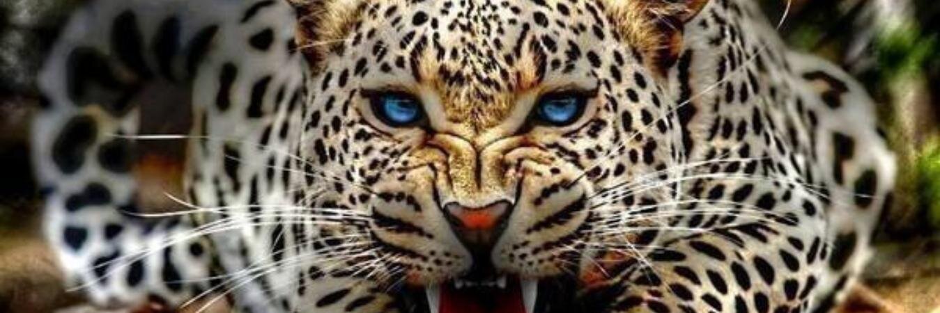 MrLsMs's profile banner image