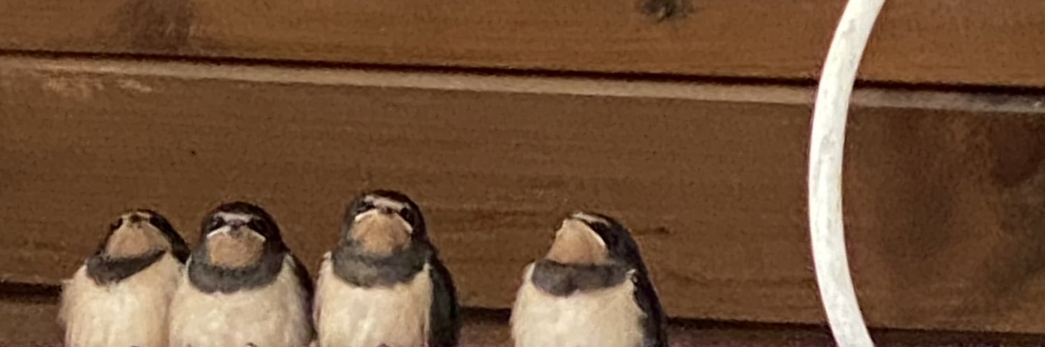 count_zeraux's profile banner image