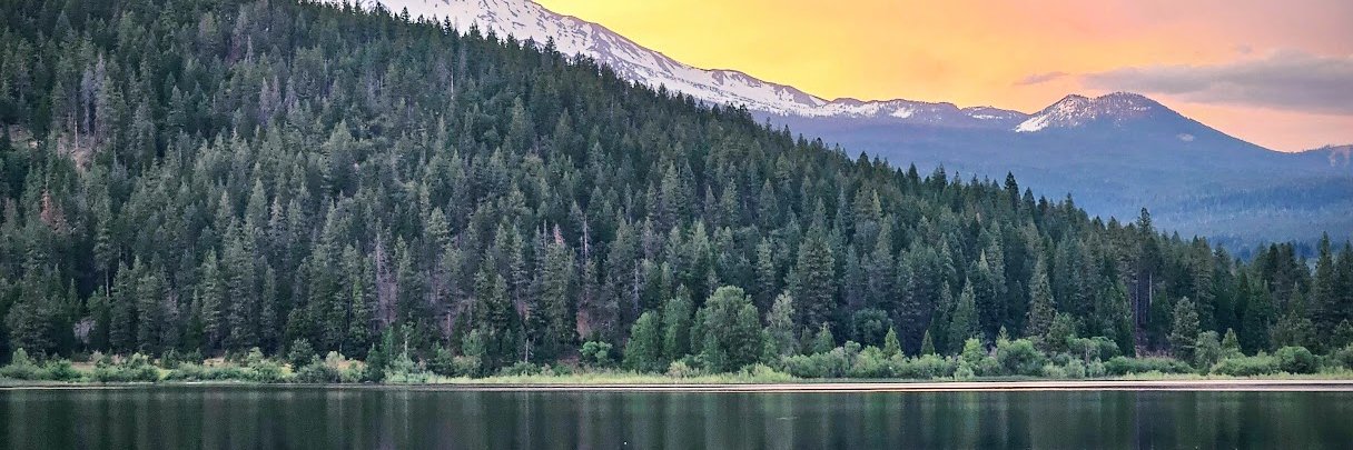 DawnBonner's profile banner image