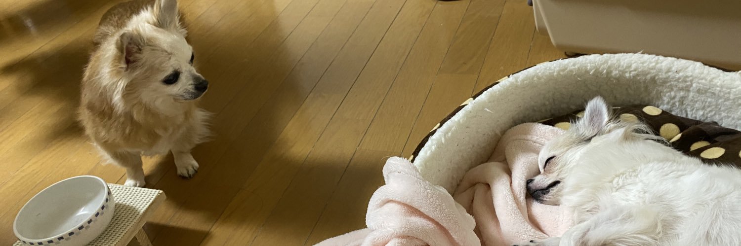 ふぃるa.k.aもっさん banner