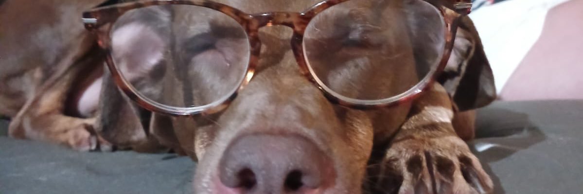 vimde2031's profile banner image