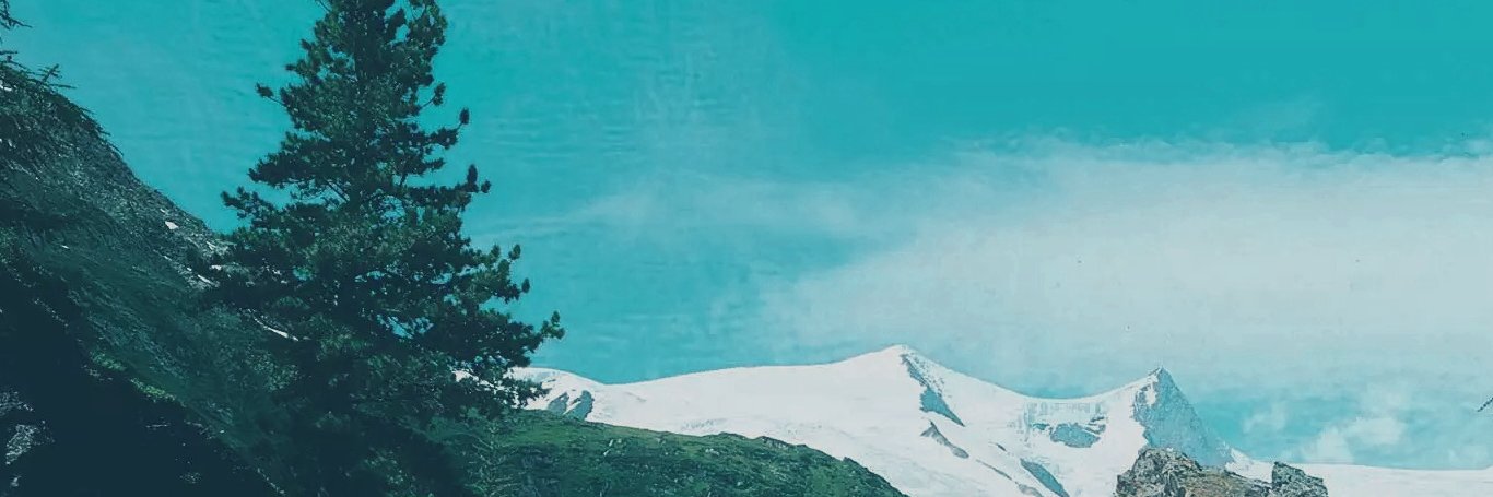 NAXMU banner