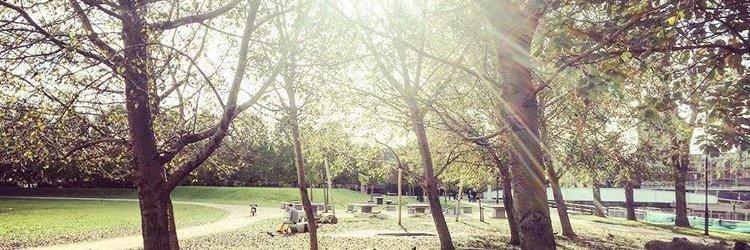 michaeljjb's profile banner image
