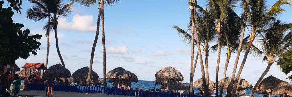 Guadalupe Muñoz banner