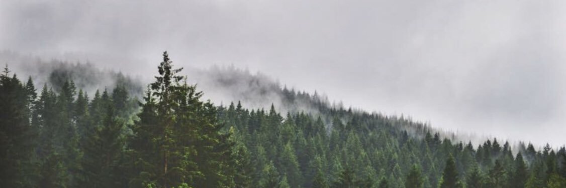 scandispirit's profile banner image