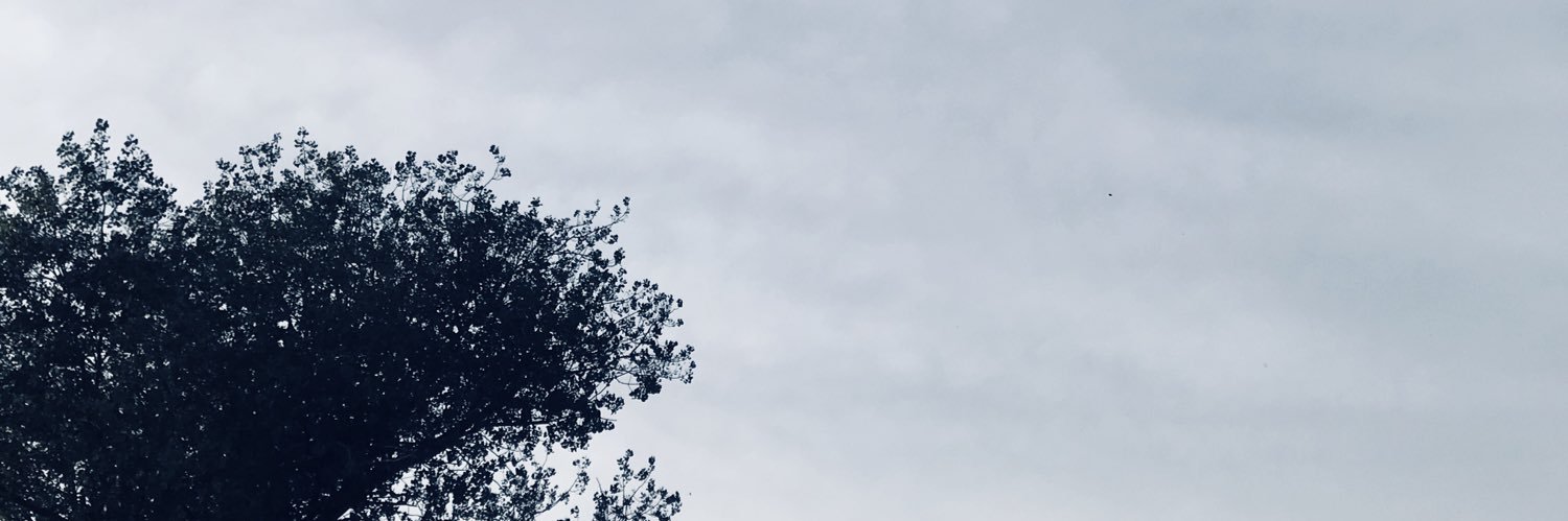 Ester Geerts banner