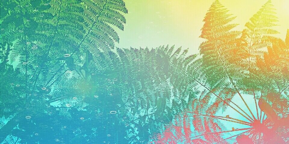 SimoSchwoch's profile banner image