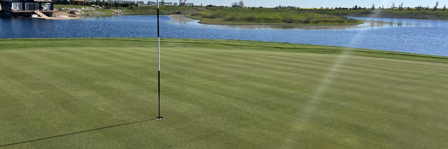 Mitch Davidson banner