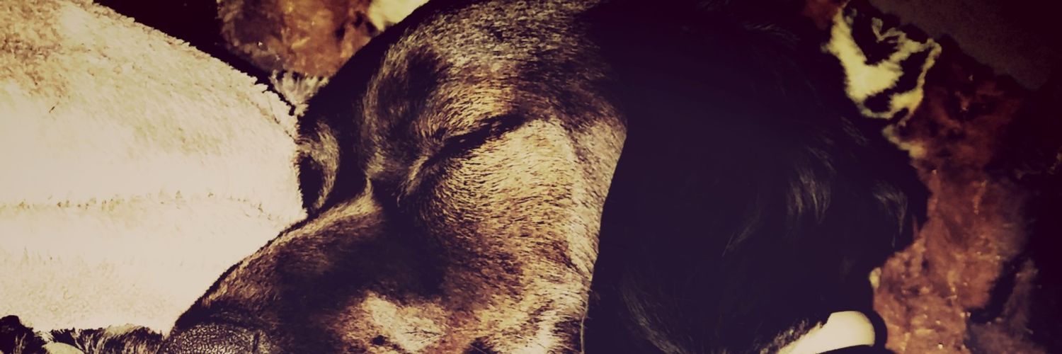 Sergio_SGPro's profile banner image