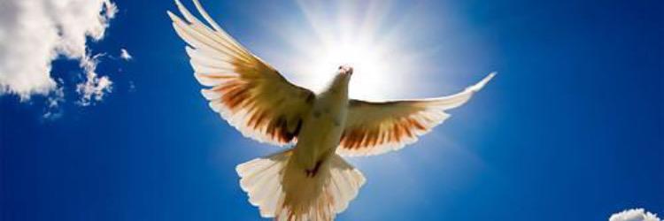 hzaz464646's profile banner image