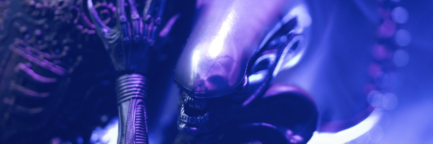 Valzuji banner