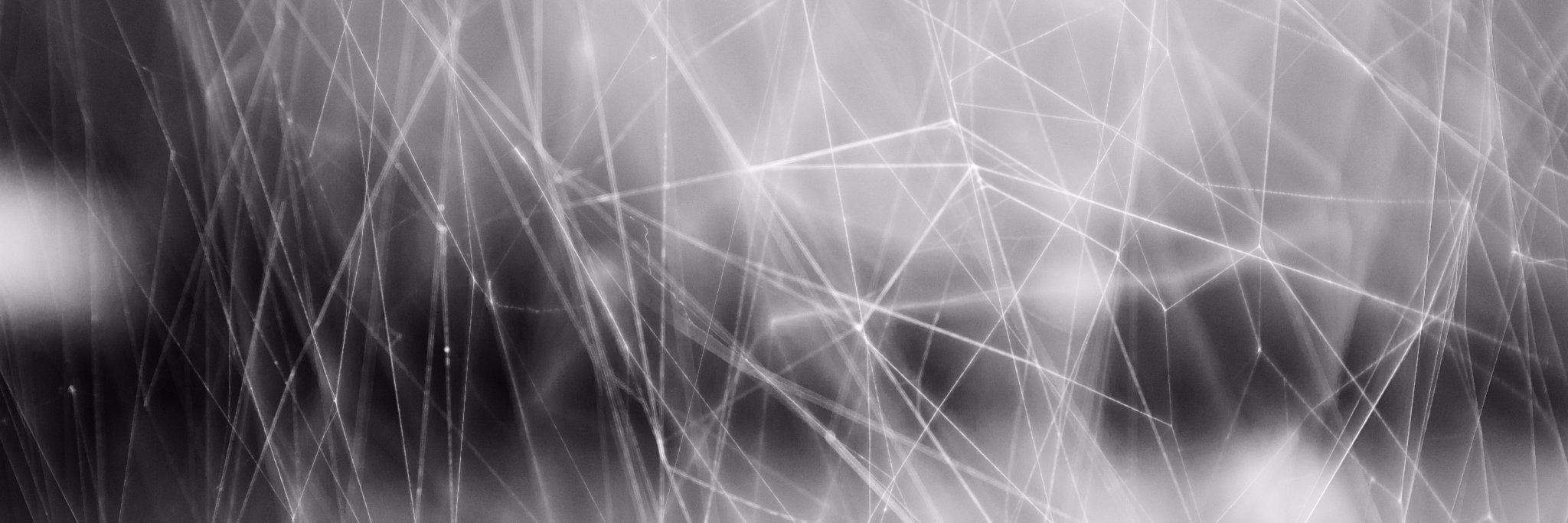 Adjacent Possibilities banner