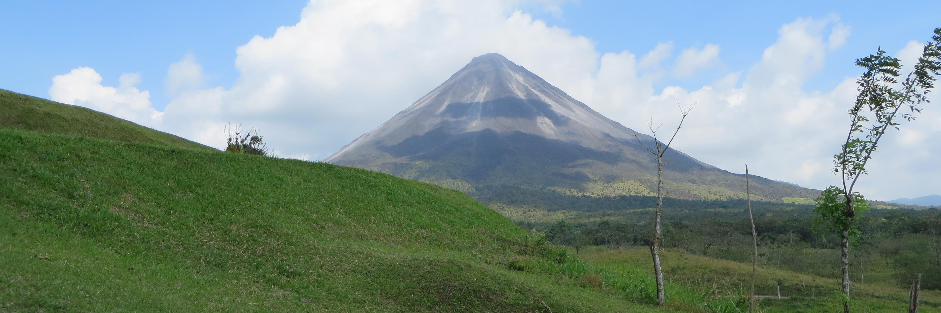 Raven Woodard banner