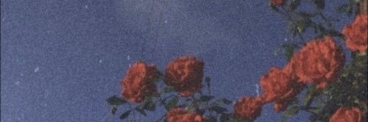 edaaozonur's profile banner image