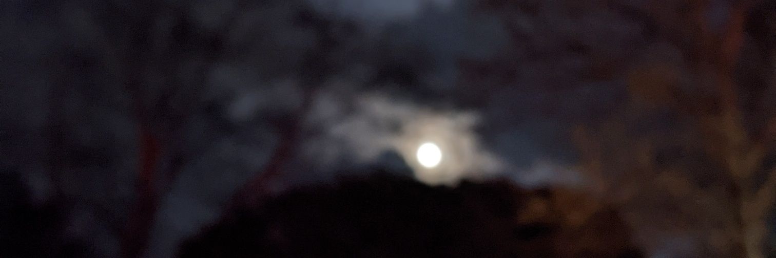 BadGamerJesse's profile banner image