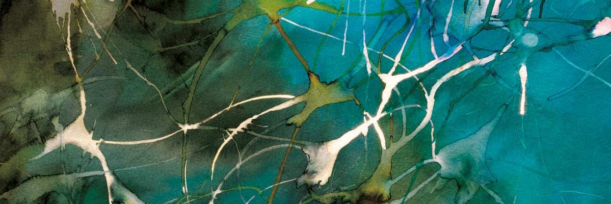 artedefran's profile banner image