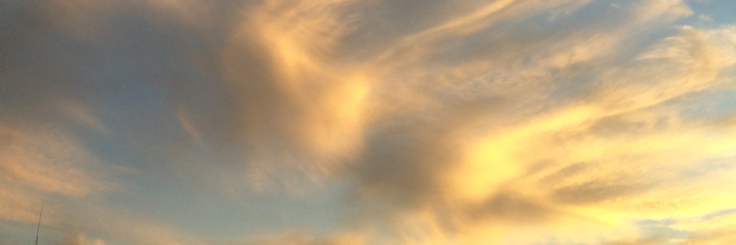 CainElyssa's profile banner image