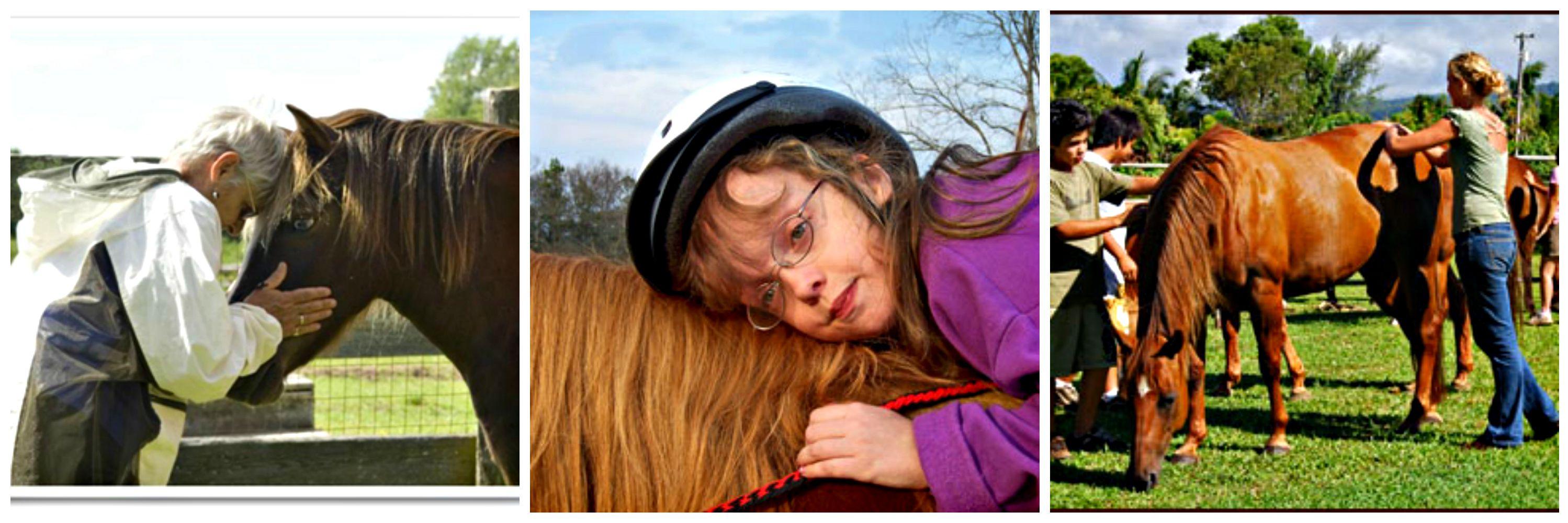horsesconnect's profile banner image