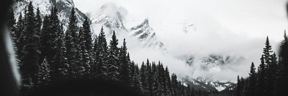 wiking1914's profile banner image