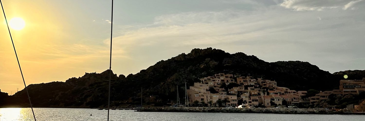 Larissa Guerrini banner