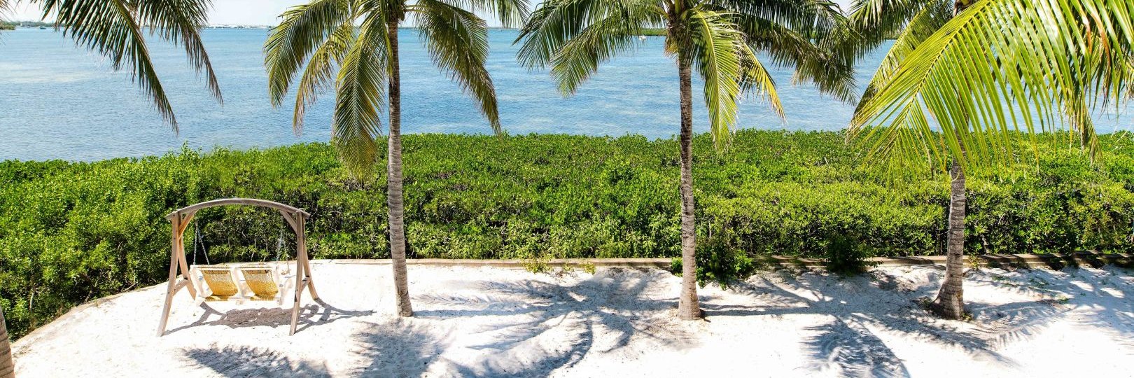 ParrotKeyHotel's profile banner image