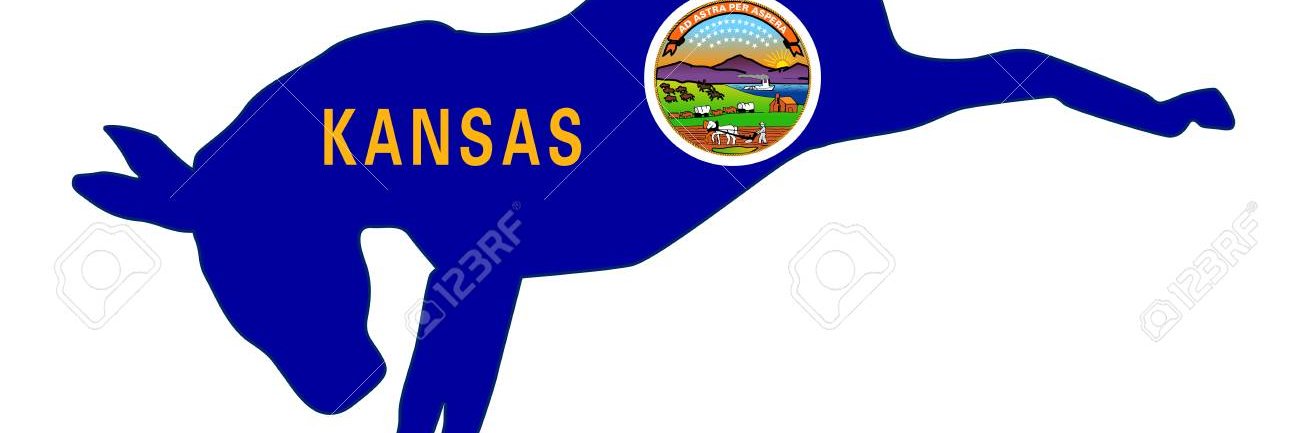bsbadger's profile banner image