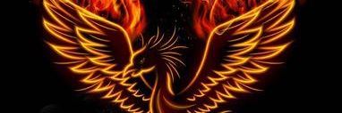 killedbykimchi's profile banner image